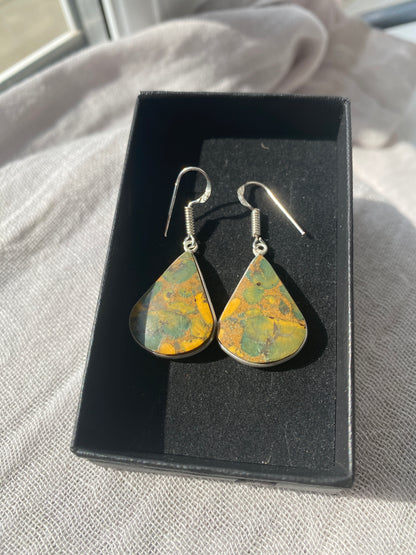 Rainforest Jasper Triangle Teardrop Earrings